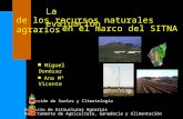 La evaluación n Miguel Donézar n Ana Mª Vicente de los recursos naturales agrarios en el marco del SITNA Sección de Suelos y Climatología Servicio de Estructuras.