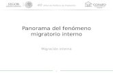 1 Panorama del fenómeno migratorio interno Migración interna.