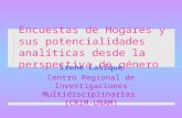 Encuestas de Hogares y sus potencialidades analíticas desde la perspectiva de género Irene Casique Centro Regional de Investigaciones Multidisciplinarias.
