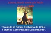 Centro Cultural, Social y del Medio Ambiente Ceibo “Creando el Primer Ecobarrio de Chile, Forjando Comunidades Sustentables”.