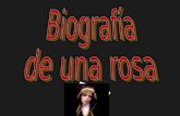 Biografía de una rosa es tu limpio corazón Virgen santa Dolorosa abierto en flor al Señor. Deja que afascale mi alma a tu vera, Madre amada, transida.
