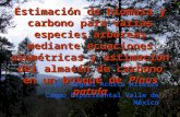 Estimación de biomasa y carbono para varias especies arbóreas mediante ecuaciones alométricas y estimación del almacén de carbono en un bosque de Pinus.