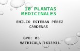 10 PLANTAS MEDICINALES EMILIO ESTEBAN PÉREZ CÁRDENAS GPO: 05 MATRICULA:1633931.