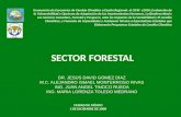 SECTOR FORESTAL Generación de Escenarios de Cambio Climático a Escala Regional, al 2030 y2050; Evaluación de la Vulnerabilidad y Opciones de Adaptación.