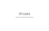 Viruses Profesora: Amarilys Morales Rivera. Características Viruses Muy pequeños Contienen DNA or RNA Contiene una cubierta de proteínas Capsido Algunos.