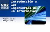 Introducción a las Ingenierías de la Información Práctica de Proyectos.