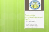 Ecograma (ecocardiograma) UACJ TIC : Med 9890-14 Lucia Flores 145052 Abril A. Lopez 144361 Alonso Meraz 144904.