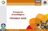 Proyecto Estratégico PROMAF 2009 Diciembre, 16 de 2008.