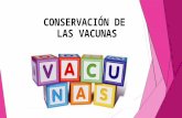 CONSERVACIÓN DE LAS VACUNAS. Conjunto de normas, actividades y procedimientos que aseguran la correcta conservación de las vacunas RED DE FRIO.