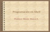 Programación en Shell Profesor: Héctor Abarca A..