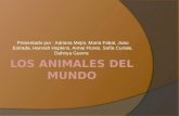 Presentado por : Adriana Mejía, María Fabal, Joao Estrada, Hannah Hopkins, Annai Flores, Sofía Curiale, Dahnya Guerra.