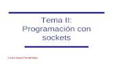 Tema II: Programación con sockets Luis López Fernández.