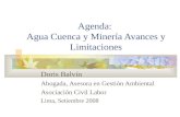 Agenda: Agua Cuenca y Minería Avances y Limitaciones Doris Balvín Abogada, Asesora en Gestión Ambiental Asociación Civil Labor Lima, Setiembre 2008.