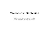 Microbios: Bacterias Marcela Fernández M. Las bacterias son los organismos más sencillos que se encuentran en la Tierra, se cree que han existido desde.