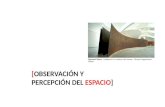 [OBSERVACIÓN Y PERCEPCIÓN DEL ESPACIO] Richard Serra. Instalaci ó n La materia del tiempo. Museo Guggenheim Bilbao.