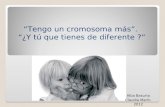 “Tengo un cromosoma más”. “¿Y tú que tienes de diferente ?” Alba Basurto Claudia Marín. 2012.