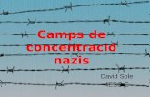 Camps de concentració nazis David Sole 4ESO C. Els camps de concentració nazis són els camps de concentració que s'utilitzaren inicialment com a element.