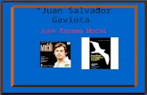 “Juan Salvador Gaviota” Juan Erasmo Mochi.