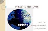 Historia del DNS Tema 3 SRI Vicente Sánchez Patón I.E.S Gregorio Prieto.