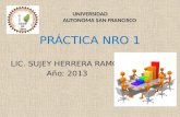 UNIVERSIDAD AUTONOMA SAN FRANCISCO PRÁCTICA NRO 1 LIC. SUJEY HERRERA RAMOS Año: 2013.