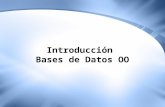 Introducción Bases de Datos OO. 2 Definición Cuando se juntan las funcionalidades de una base de datos con las de un lenguaje orientado a objetos, se.