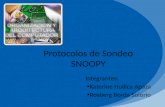 Protocolos de Sondeo SNOOPY Integrantes: Katerine Huillca Apaza Rosberg Borda Solorio.