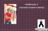 HOMENAJE A ANTONIO PUERTA PEREZ Hoy, desgraciado día 28 de agosto de 2007 nos ha dejado Antonio Puerta. Gran persona y gran profesional. Llevando su.
