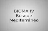 BIOMA IV Bosque Mediterráneo. Localización 30° – 40° Latitud Norte y Sur Lado occidental (Oeste) de los continentes.