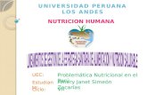 Describir la situación nutricional que se encuentra el Perú en anemia, sobrepeso, obesidad y desnutrición crónica. Identificar las líneas de acción, resultados.