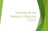 Lesiones de los huesos y músculos Nimrod Gil Salamanca Vicente Casasola.