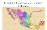 República Mexicana y sus pueblos Indígenas. Oaxaca: (16) Amuzgos, Chatinos, Chinantecos, Chochos, Chontales, Cuicatecos, Huaves, Ixtecos, Mazateco, Mixes,