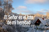 Salmo 15 Protégeme, Dios mío, que me refugio en ti;