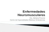 Enfermedades Neuromusculares Dra. Adriana Pinzone Centro de Especialidades Medicas Ambulatorias.