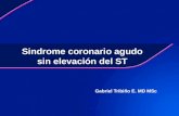 Sindrome coronario agudo sin elevación del ST Gabriel Tribiño E. MD MSc.