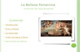 La Belleza Femenina “evolución del ideal femenino” Contenido Introducción Eros y Psique La Gioconda Unión de agua y tierra Nacimiento de Venus.