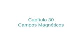 Capítulo 30 Campos Magnéticos. Ley de Biot - Savart.