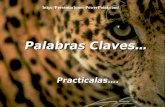 Palabras Claves… Practicalas…. http://Presentaciones-PowerPoint.com