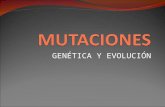 GENÉTICA Y EVOLUCIÓN. MUTACIÓN: Cambio en el material genético(ADN) que puede transmitirse a la descendencia. Los cambios en el material genético se traducen.