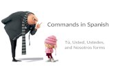 Commands in Spanish Tú, Usted, Ustedes, and Nosotros forms.