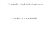 Formulación y evaluación de proyectos Estudios de prefactibilidad.