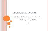 ULCERAS VARICOSAS Dr. Pedro G. Gómez de la Fuente Schreiber R4-Emergentología-HCIPS 2015.