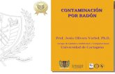 CONTAMINACIÓN POR RADÓN Prof. Jesús Olivero Verbel. Ph.D. Grupo de Química Ambiental y Computacional Universidad de Cartagena.