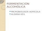 FERMENTACIÓN ALCOHÓLICA MICROBIOLOGÍA AGRÍCOLA ALDANA KEIL.