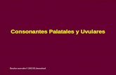Consonantes Palatales y Uvulares Derechos reservados © 2002 SIL International.