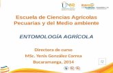 Escuela de Ciencias Agrícolas Pecuarias y del Medio ambiente ENTOMOLOGÍA AGRÍCOLA Directora de curso MSc. Yenis González Correa Bucaramanga, 2014.