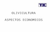 OLIVICULTURA ASPECTOS ECONOMICOS. Extensión Geográfica y Producción PAISNº olivos (miles) Superficie (HA) PAISNº olivos (miles) Superficie (HA) Argelia16.430162.800Israel1.52012.600.