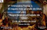 Estudios Bíblicos Lifeway ® 1 er Trimestre/Tema 1: El regalo más grande de Dios “Regocíjese en el regalo de Dios” 23 de diciembre de 2012 (Lucas 2:8-20)
