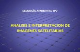 1 ANALISIS E INTERPRETACION DE IMAGENES SATELITARIAS ECOLOGÍA AMBIENTAL TP7.