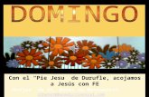14 DURANTE EL AÑO Ciclo B Con el “Pie Jesu” de Durufle, acojamos a Jesús con FE Monjas de St. Benet de Montserrat stbenet@benedictinescat.com .