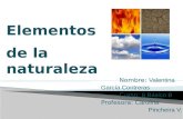Nombre: Valentina García Contreras Curso: 6 Básico B Profesora: Carolina Pincheira V. Elementos de la naturaleza.